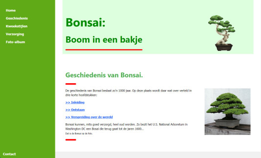 Piet Boukes Bonsai