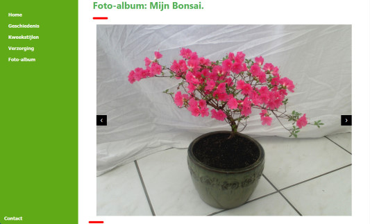 Piet Boukes Bonsai